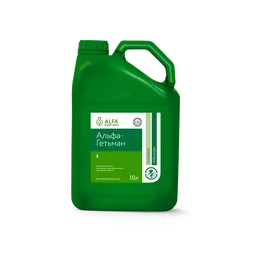 Альфа-Гетьман, КЭ [10л]