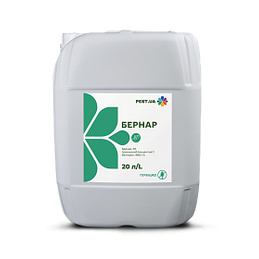 Бернар