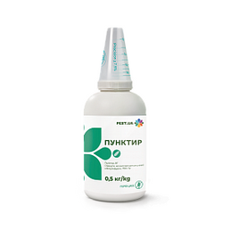 Пунктир