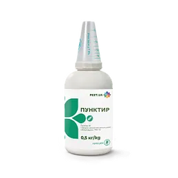 Пунктир