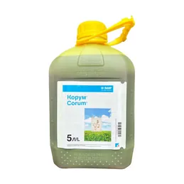 Корум, ЖК [5л]