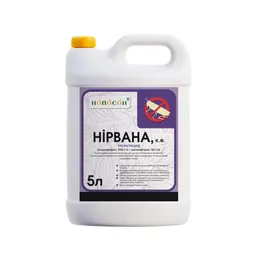 Нирвана