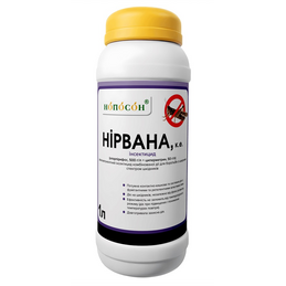 Нірвана