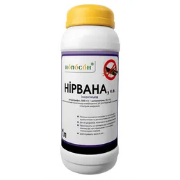 Нірвана