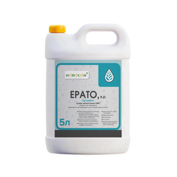 Ерато