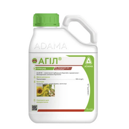 Агіл/Шогун, КЕ [5л]