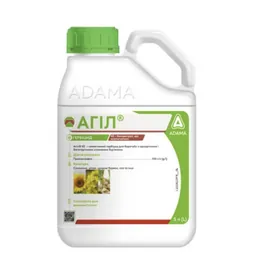 Агіл/Шогун, КЕ [5л]