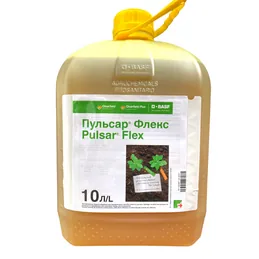 Пульсар Флекс, КЕ [10л]