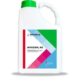 Муссон
