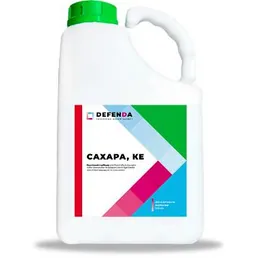 Сахара