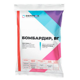 Бомбардир