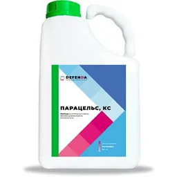 Парацельс