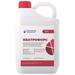Кватрофорс